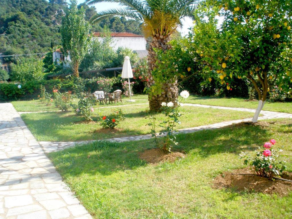 Afroditi Panormos  Esterno foto