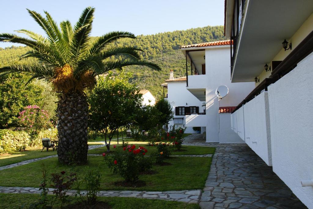 Afroditi Panormos  Esterno foto